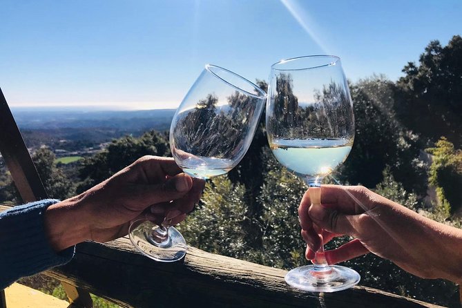 Albufeira Wine Tour: 2 Vineyards, 6 Tastings & Historic Silves - Who This Tour Suits Best (And Who Might Want a Different Plan)