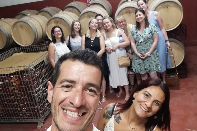 Albufeira Wine Tour: 2 Vineyards, 6 Tastings & Historic Silves - Silves on Your Schedule: Cobblestones, Castle Views, and Lunch at Your Pace