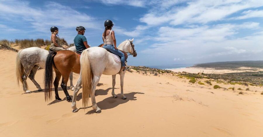 Algarve: 1-Hour Carrapateira Horseback Riding Tour - From Beach to Hilltop: The Part Where the Views Do the Talking
