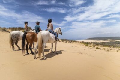 1-Hour Carrapateira Horseback Riding Tour
