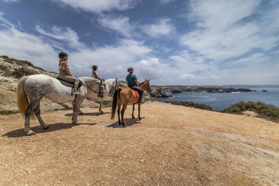 Algarve: 1-Hour Carrapateira Horseback Riding Tour - Horse Handling, Speeds, and What Beginners Should Expect