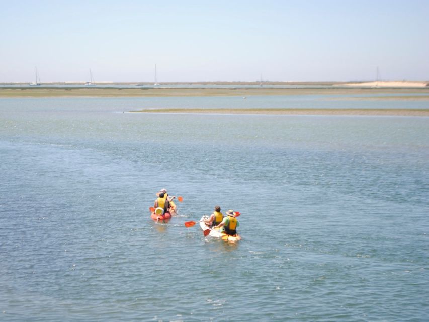 Algarve: 2-Hour Ria Formosa Kayak Tour from Faro - Key things to know before you go