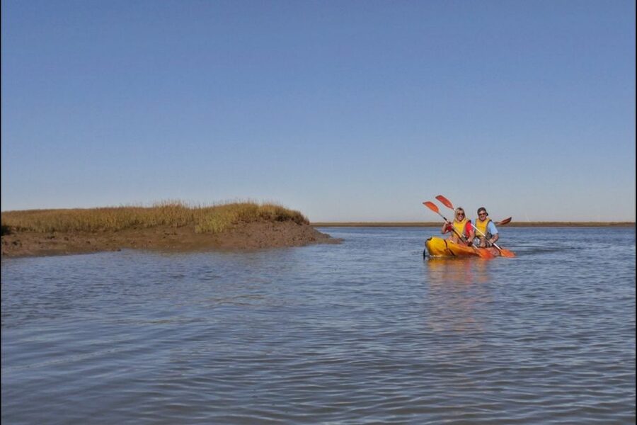 Algarve: 2-Hour Ria Formosa Kayak Tour from Faro - Kayaking Ria Formosa from Faro, without the fuss