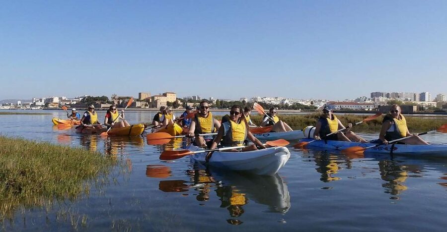 Algarve: 2-Hour Ria Formosa Kayak Tour from Faro - Paddle into Parque Natural da Ria Formosa: where the wildlife show happens