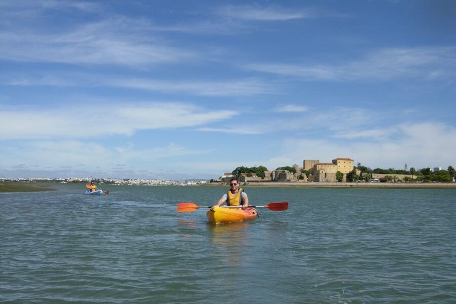 Algarve: 2-Hour Ria Formosa Kayak Tour from Faro - The islet break: rest, photos, and habitat watching