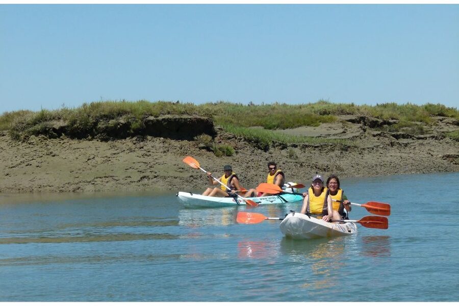 Algarve: 2-Hour Ria Formosa Kayak Tour from Faro - Heading back with Faro old town in view