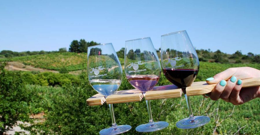 Algarve: 3 Types of Wine Tastings with Vineyard Views - Key things to love about this Algarve tasting at Quinta dos Vales