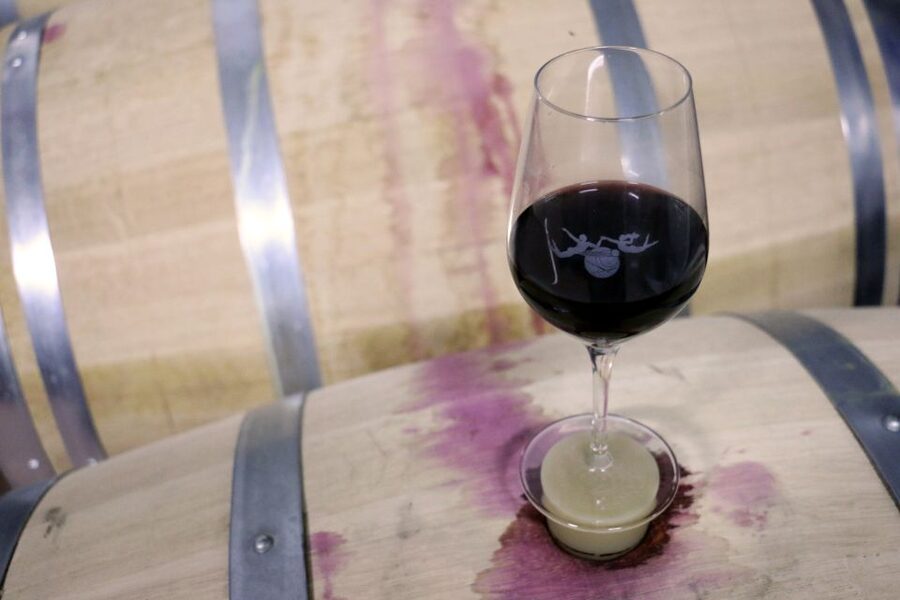 Algarve: 3 Types of Wine Tastings with Vineyard Views - Price and value: is $19 a good deal for three tastings?