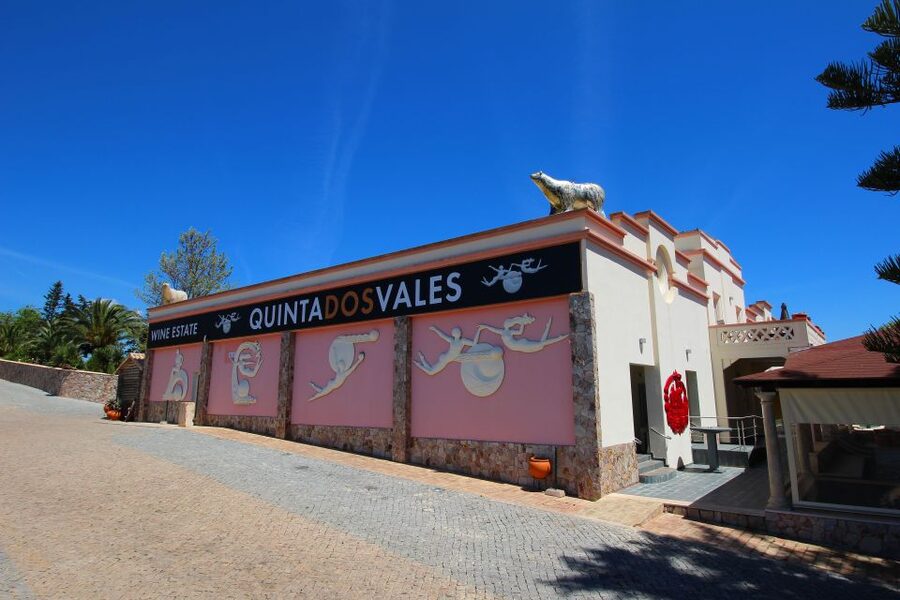Algarve: 3 Types of Wine Tastings with Vineyard Views - Practical tips that make your tasting day smoother