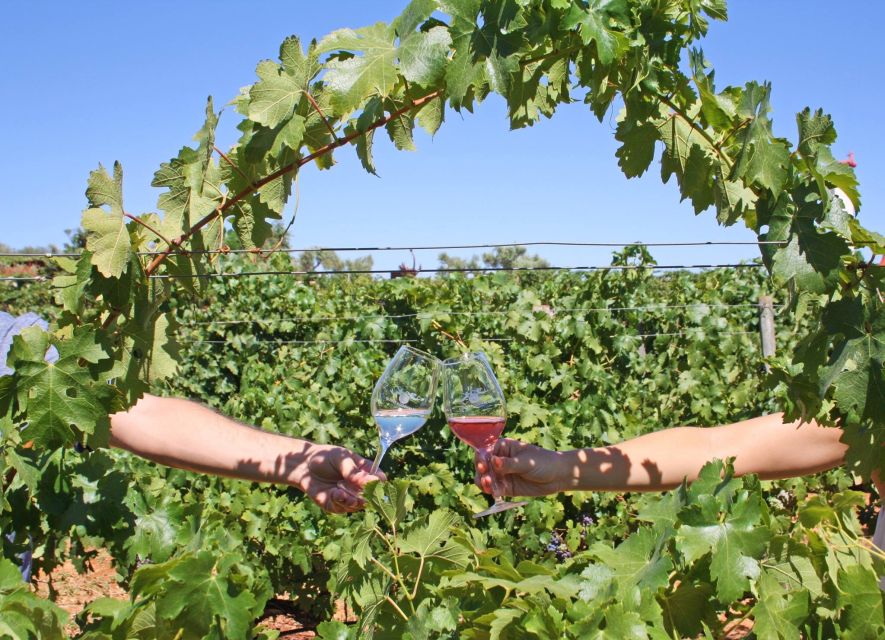 Algarve: 3 Types of Wine Tastings with Vineyard Views - Getting your three wines: how the tasting actually works