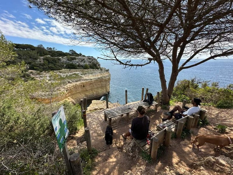 Algarve: 7 Seven Hanging Valley Hike Tour- Photos & Transfer - The Transfer Back: Why It’s a Big Part of the Value
