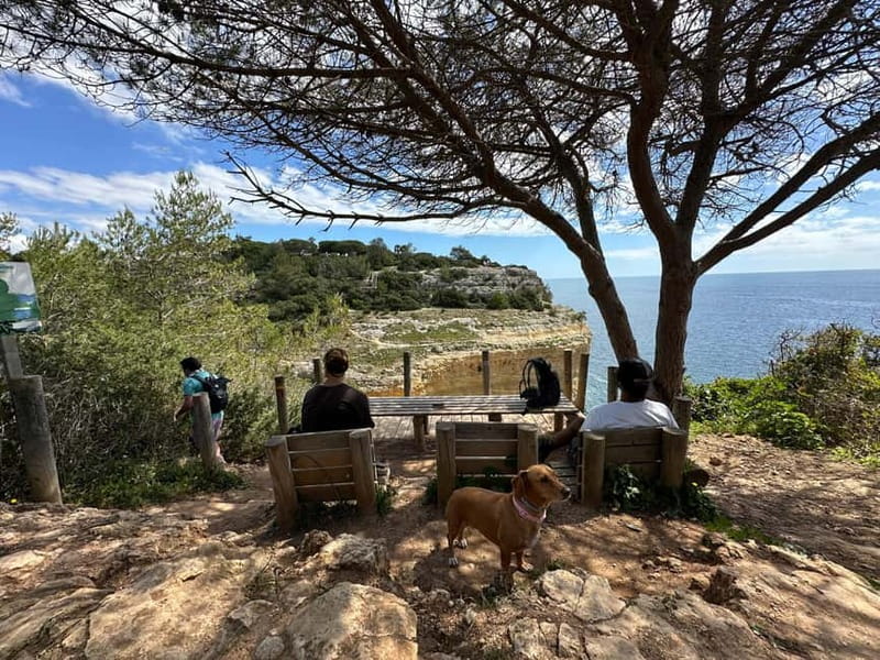 Algarve: 7 Seven Hanging Valley Hike Tour- Photos & Transfer - Stop by Stop: What You See and Why Each Moment Matters