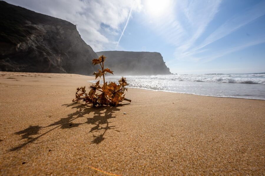 Algarve: Amazing Private Surf Lesson 2 hours - Key things to know before you go