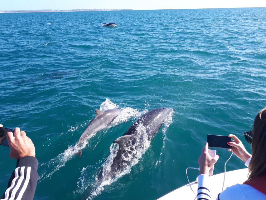 Algarve: Boat Trip to the Caves of Benagil - Entering Paraiso, Carvoeiro, and Benagil caves