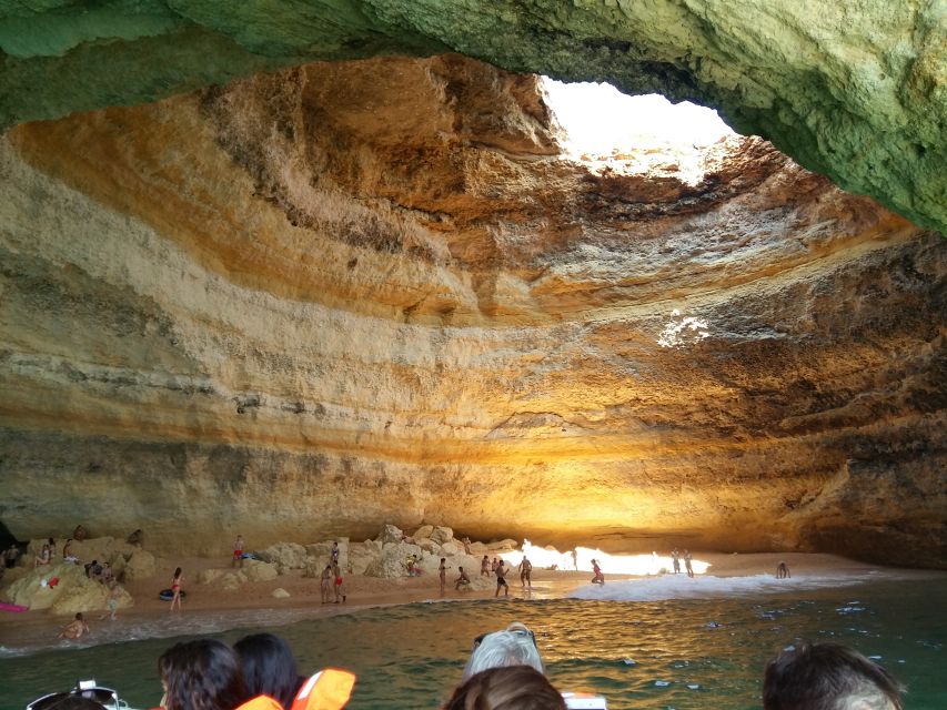 Algarve: Boat Trip to the Caves of Benagil - Dolphins on the ride, and how to spot them