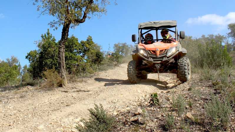 Algarve Buggy Tours - Key things you should know before you go
