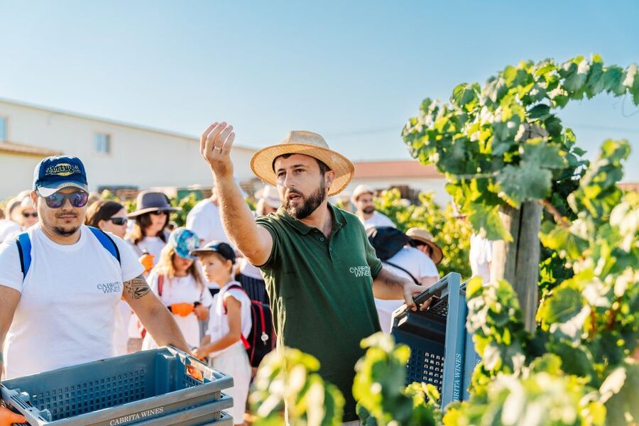 Algarve: Classic Wine Tour & Tasting in Silves - Practical Tips So You Enjoy It More