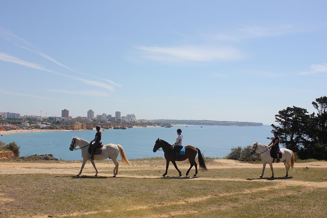 Algarve - Exclusive horseriding in Portimao (no experience required) - Key highlights worth planning around