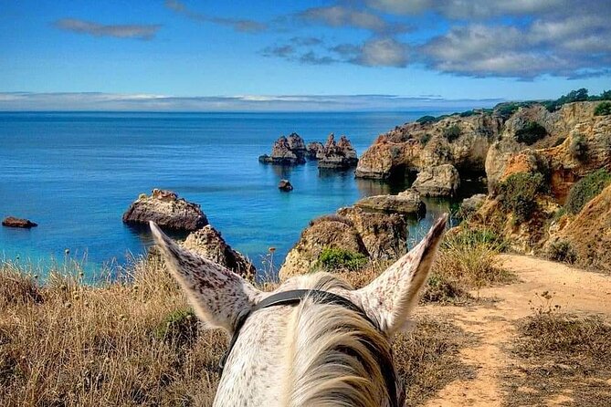 Algarve - Exclusive horseriding in Portimao (no experience required) - Why This 1-Hour Algarve Horse Ride Feels Made for Beginners