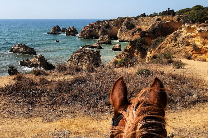 Algarve - Exclusive horseriding in Portimao (no experience required) - Who this tour suits best, and who should think twice