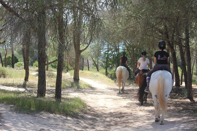 Algarve - Exclusive horseriding in Portimao (no experience required) - Arriving at the Alvor meeting point, and what to do when you get there