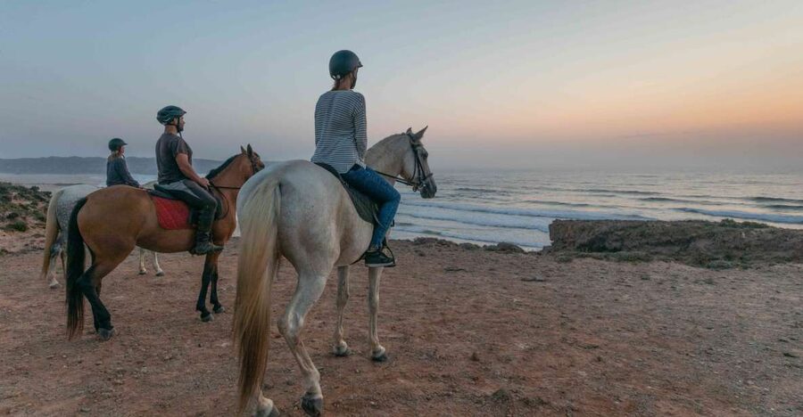 Algarve: Horse Riding Beach Tour at Sunset or Morning - The ride begins with pine forest magic, not a random straight line