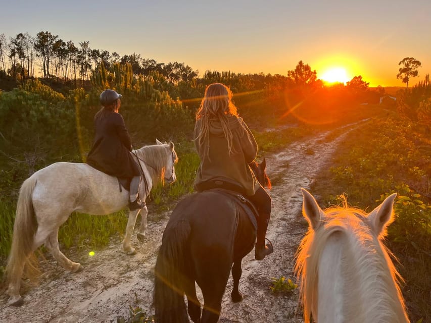 Algarve Horseriding tour in the countryside of Aljezur Rogil - The route through Rota Vicentina: cork oaks, streams, and open fields