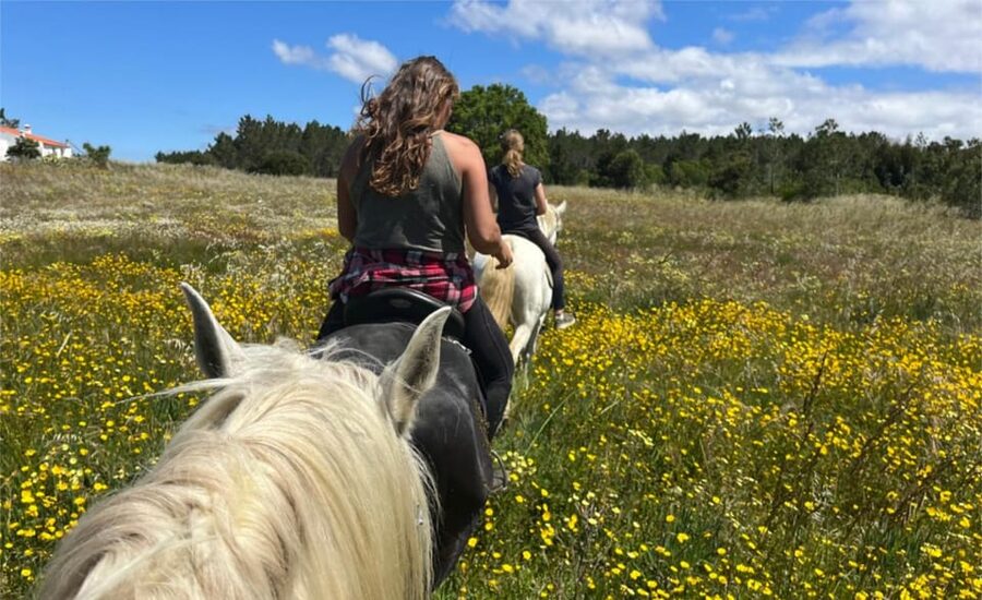 Algarve Horseriding tour in the countryside of Aljezur Rogil - Safety gear, skill levels, and what “gentle” means in practice