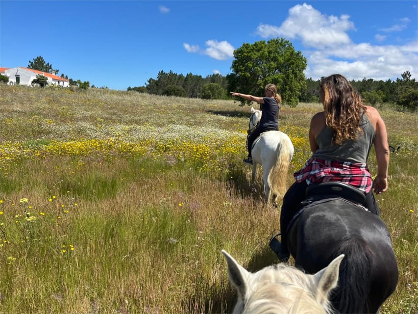 Algarve Horseriding tour in the countryside of Aljezur Rogil - Price and value: what $82 really covers for 1.5 hours