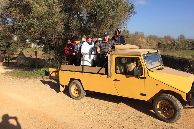 Algarve Jeep Safari - Day Trip - Paderne Castle: Time to Look, Time to Photograph, and a Chance to Go In