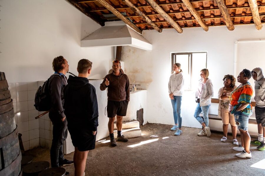 Algarve: Jeep Safari with Distillery Visit & Lunch - The medronho distillery visit: tasting the spirit and learning the process