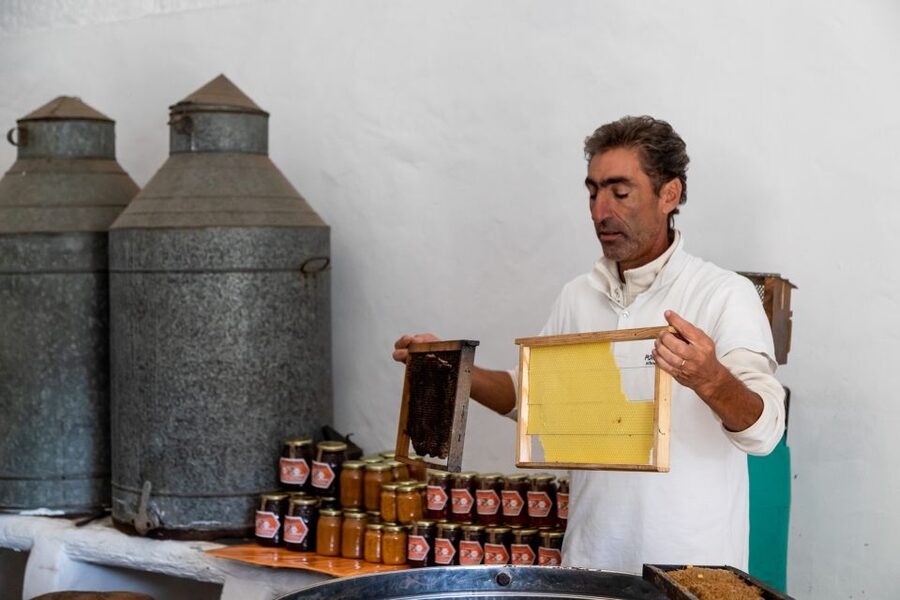 Algarve: Jeep Safari with Distillery Visit & Lunch - Guide style makes the day: humor, safety, and the small details you’ll remember
