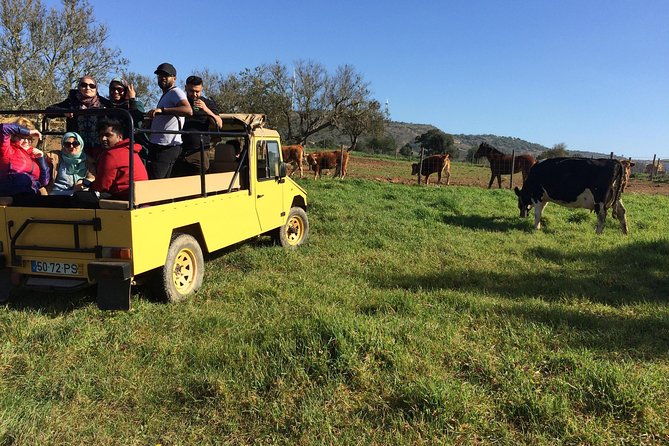 Algarve Mountains & Villages - Half Day Jeep Safari Trip - Key points before you go