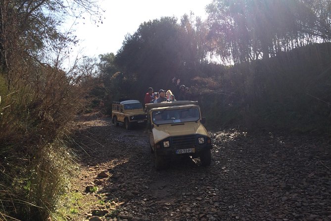 Algarve Mountains & Villages - Half Day Jeep Safari Trip - Sao Bartolomeu de Messines: The Highest Point for Views That Pay Off