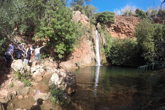 Algarve Safari - Full Day Tour from Albufeira w / lunch - Getting There: Pickup Timing and Small-Group Size