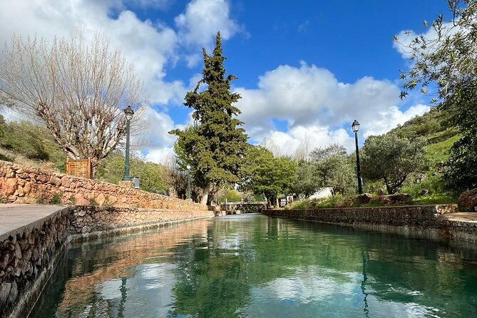 Algarve Safari - Half Day from Albufeira - Off-road energy and guide storytelling: why this tour feels different