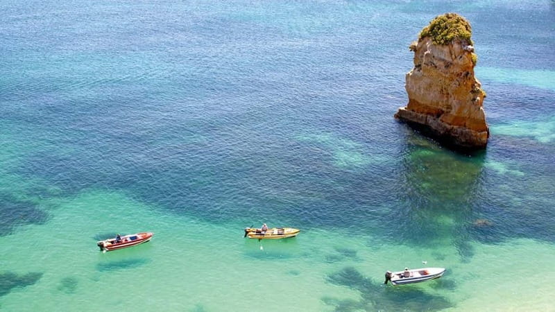 Algarve: Silves, Lagos and Cape St. Vincent in French - Who This Tour Fits Best (and Who Should Skip It)