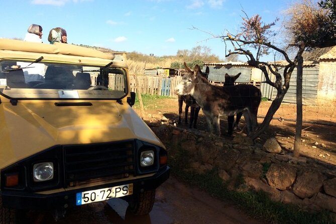 Algarve Sunset Experience - Half Day Jeep Safari Trip - Sao Bartolomeu de Messines: The Highest Point and Real Sunset Timing