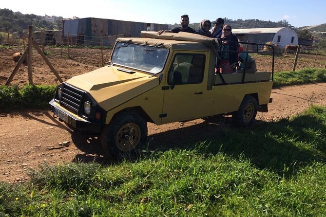 Algarve Sunset Experience - Half Day Jeep Safari Trip - What $35.95 Buys You, and Why It Feels Fair