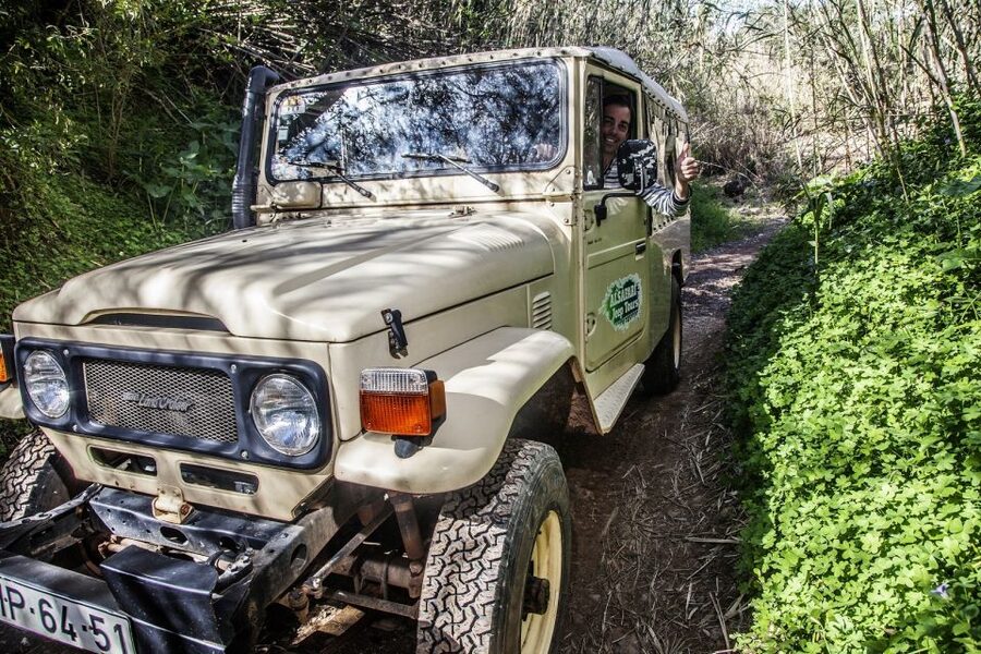 Algarve: Sunset Jeep Safari Tour - Why this Algarve sunset jeep safari beats the standard bus day