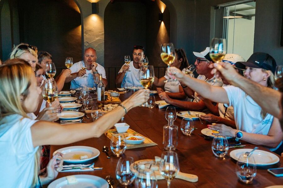 Algarve: Vineyard Tour & Premium Wine Tasting in Silves - Price and Value: Is $53 Worth It in the Algarve?