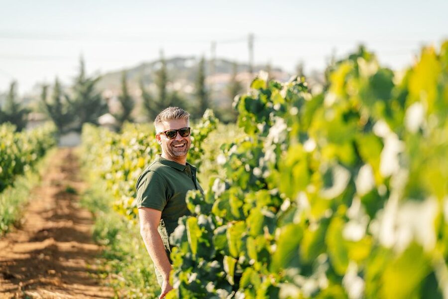 Algarve: Vineyard Tour & Premium Wine Tasting in Silves - From the Shop Entrance to the Vines: Your 1.5-Hour Rhythm