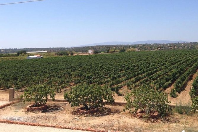 Algarve wine tour and mountain top trip with lunch or dinner at sunset time - FAQ