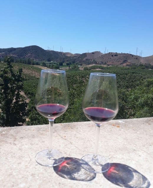 Algarve Wine Tour of two estates guided by wine expert - Key highlights
