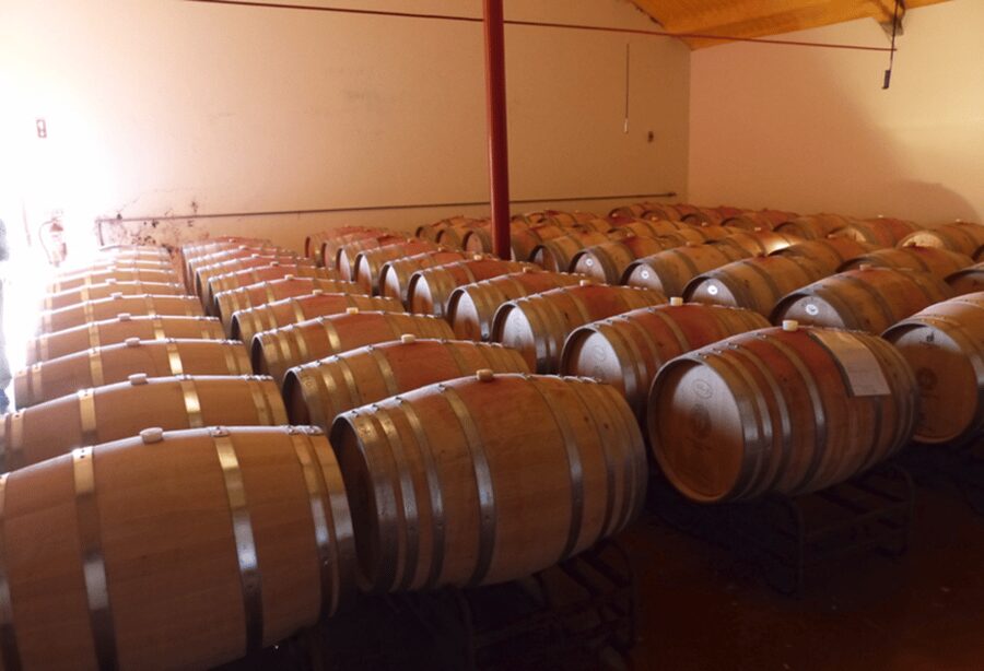 Algarve Wine Tour of two estates guided by wine expert - Portimão Pickup, Timing, and How the Day Moves