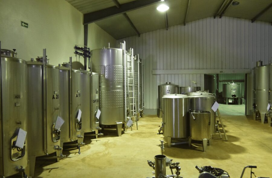 Algarve Wine Tour of two estates guided by wine expert - Transportation and Value: What You Really Get for $101