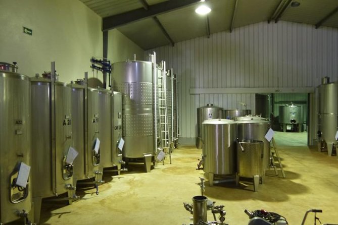 Algarve Wine Tour of Two Wine Estates - Villa Alvor: Vineyard Views and a Family Timeline Since 1865