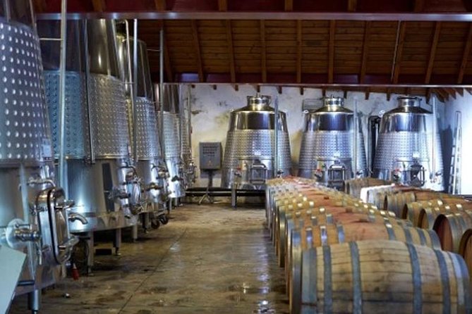 Algarve Wine Tour of Two Wine Estates - Transport, Timing, and the Group Size Sweet Spot