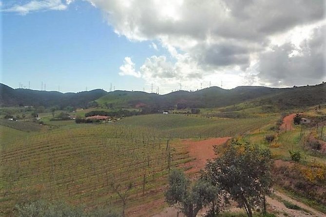 Algarve Wine Tour of Two Wine Estates - Food, Pacing, and What to Do If Wine Hits Fast