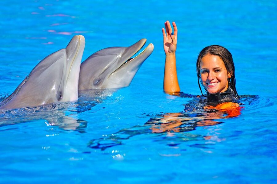 Algarve: Zoomarine Amusement Park Entry Ticket - Key Points That Matter Before You Go